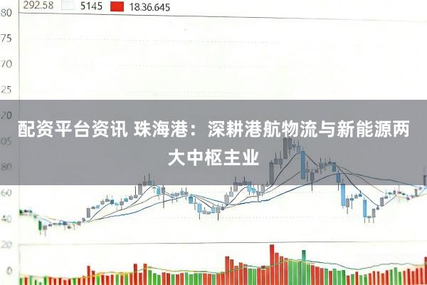 配资平台资讯 珠海港：深耕港航物流与新能源两大中枢主业